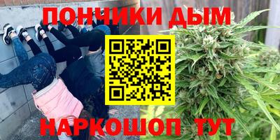 PSILOCYBIN Кандалакша